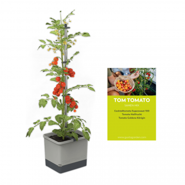 TOM TOMATO Starter-Set – inkl. Tomatensamen-Mix