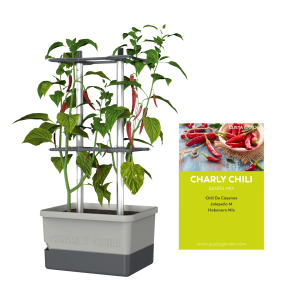 CHARLY CHILI Starter-Set – inkl. Chilisamen-Mix