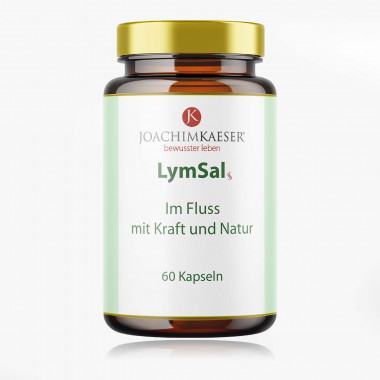 LymSal – 60 Kapseln