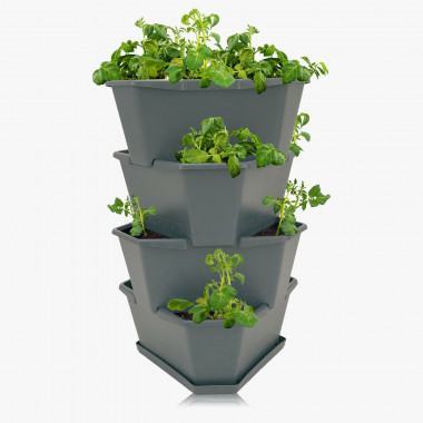 PAUL POTATO Starter – 4 Etagen
