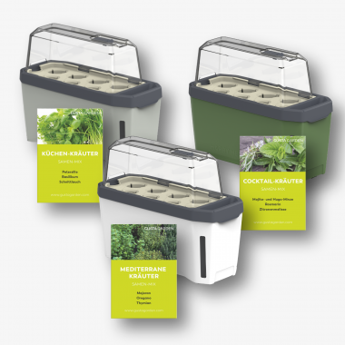HARRY HERBS Starter-Set – Kräuter – inkl. Kräutersamen-Mix