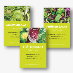 Salat Samen-Mix Starter-Set