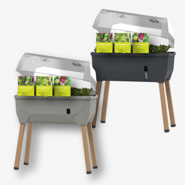 SAMMY SALAD Starter-Set – inkl. Salatsamen-Mix